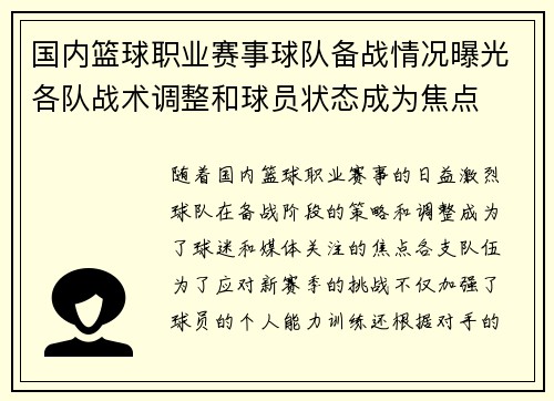 国内篮球职业赛事球队备战情况曝光各队战术调整和球员状态成为焦点